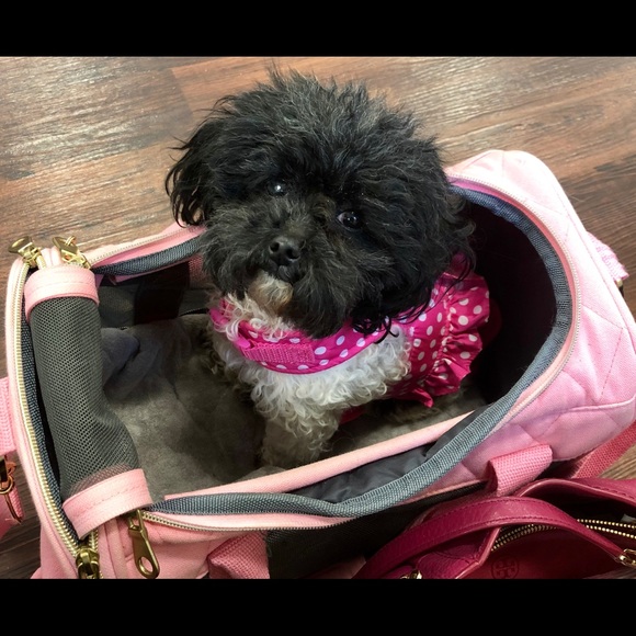 Meet your Posher and Posh Ambassador, Lynn - Picture 5 of 8